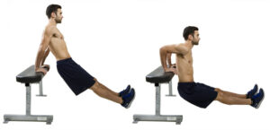 Tricep Dips là một bài tập hiệu quả giúp phát triển cơ bắp tay, vai và ngực.