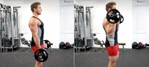 Barbell Curl là một trong các bài tập tay trước phổ biến nhất hiện nay.