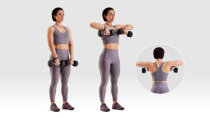 Dumbbell Upright Rows giúp vai thon, cơ bắp đều đặn hơn.