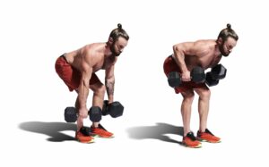 Bent Over Row tác động nhiều nhất lên cơ lưng giữa và giúp vùng lưng phát triển.