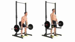 Rack Pull là một trong các bài tập lưng xô có tác động chủ yếu đến cơ xô sau.