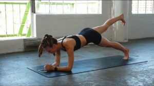 Plank Leg Raise không chỉ giúp cơ mông phát triển mà còn nhóm cơ bên trong xương chậu và thắt lưng dưới. 