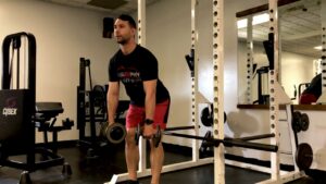 Bent-Over Dumbbell Shrug tập trung chủ yếu vào cơ vai và cơ trapezius.