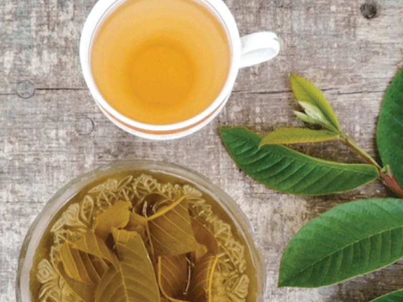 Ngoài giúp giảm cân, trà ổi còn có nhiều công dụng hữu ích với sức khỏe.