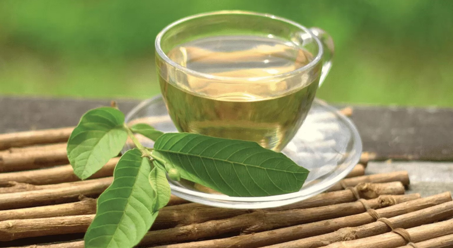 Uống trà ổi giảm cân hiệu quả, tốt cho sức khỏe.