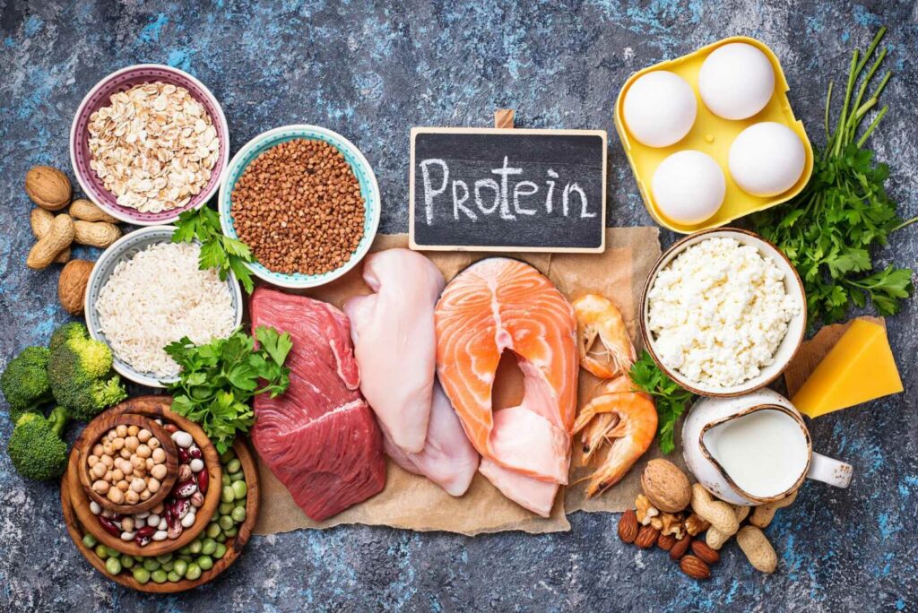 Kết hợp đa dạng các loại thực phẩm giàu protein để nâng cao hiệu quả luyện tập thể hình.