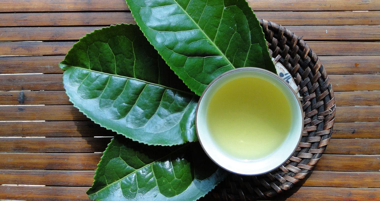 Uống trà xanh giúp giảm mỡ thừa hiệu quả.