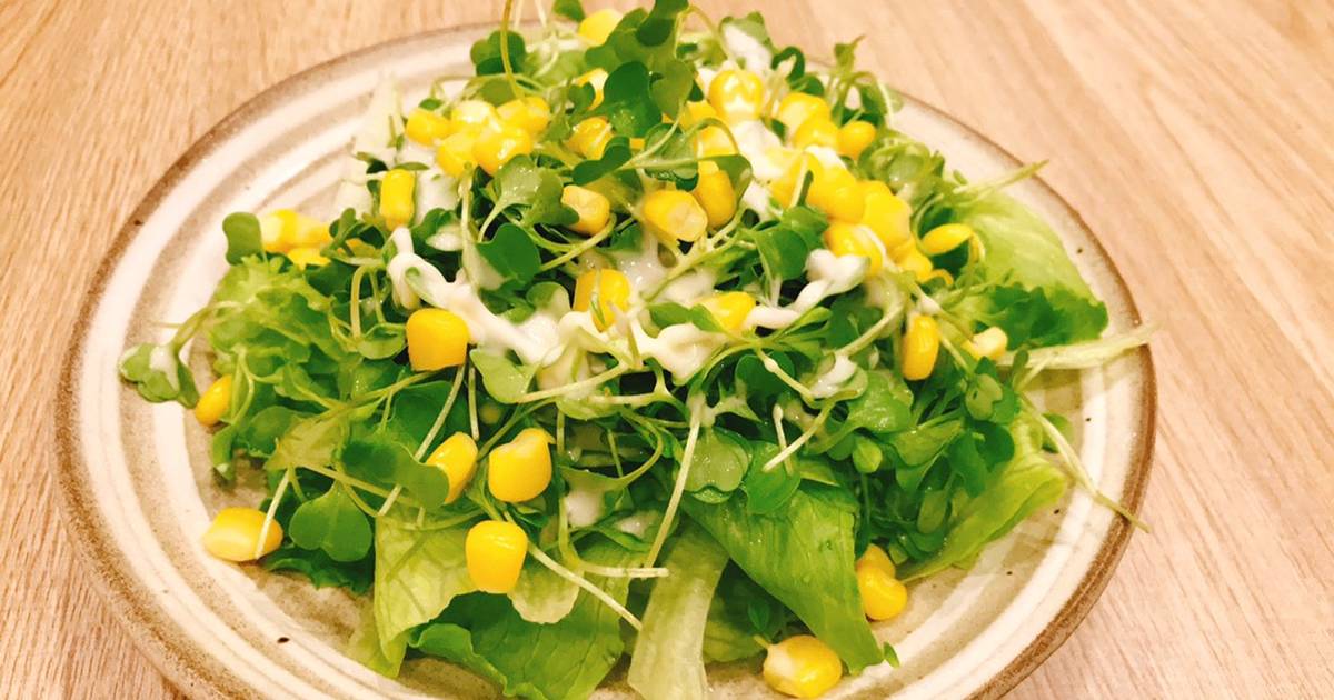 Salad bắp được nhiều người yêu thích vì ngon miệng, không tăng cân.