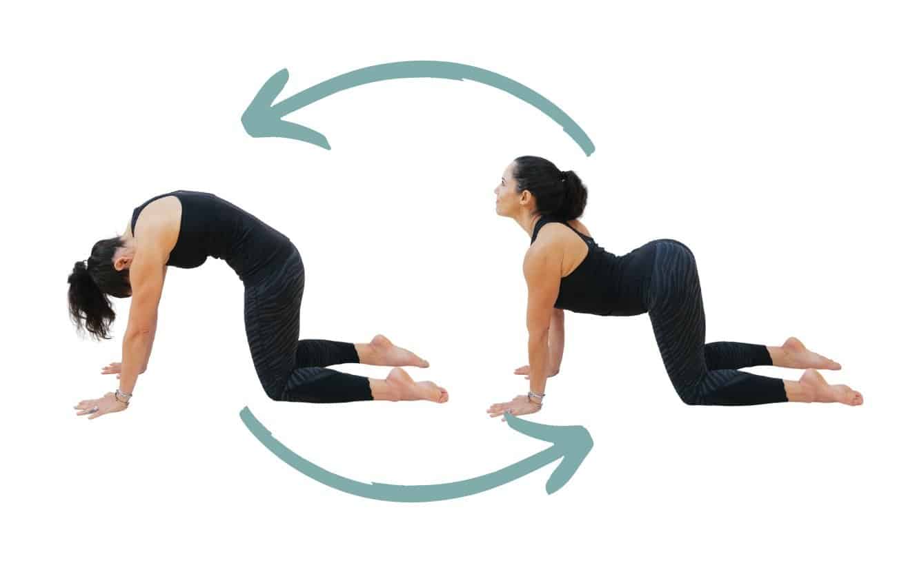 Bài tập yoga giảm mỡ bụng Marjaryasana - Bitilasana không chỉ mang lại lợi ích về thể chất mà còn giúp cải thiện tâm trạng và giảm căng thẳng.