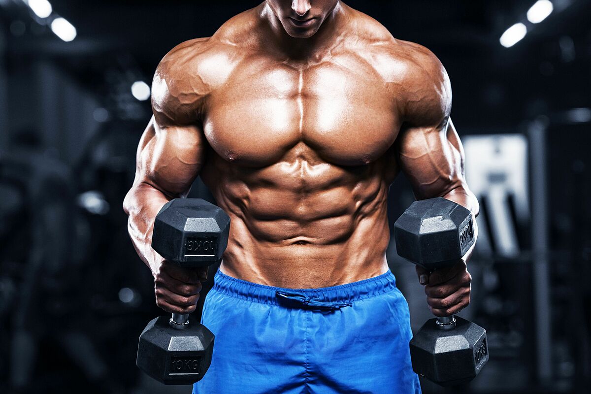 Protein là yếu tố cần thiết cho sự hình thành và phát triển của cơ bắp.