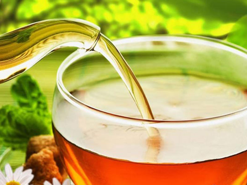 Uống trà lá ổi giảm cân