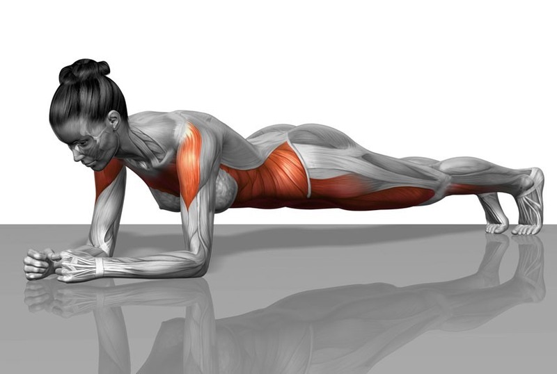 tập plank có giảm mỡ bụng không