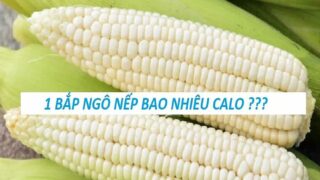 một trái bắp nếp bao nhiêu calo