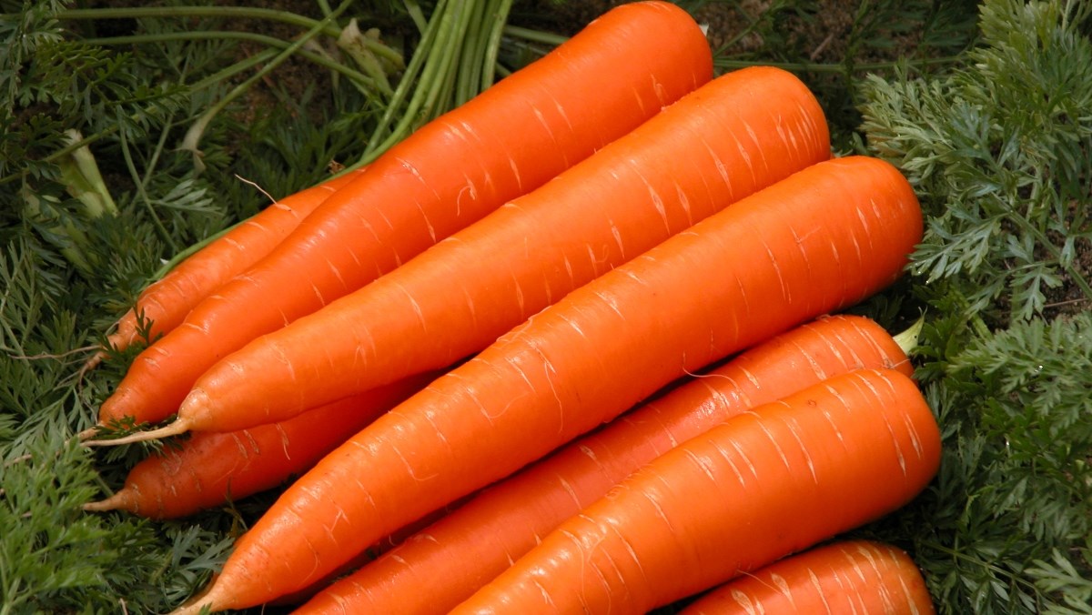 Cà rốt giúp bạn no lâu và hỗ trợ tiêu hóa.