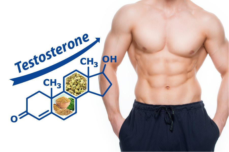 Testosterone giảm, nam giới có thể gặp nhiều vấn đề về sức khỏe. Lúc này nên áp dụng các cách tăng testosterone nam.