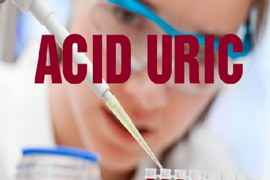 chỉ số acid uric