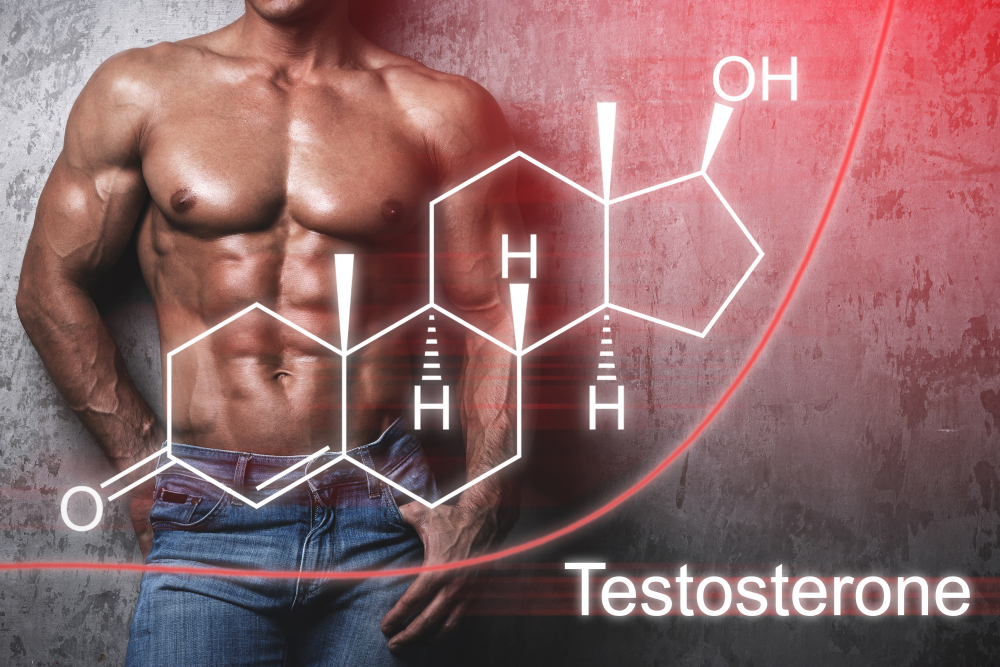 Testosterone là gì và tại sao nó lại được coi là hormone chủ chốt ở nam giới?