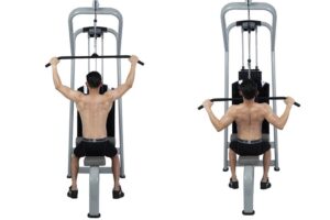 các loại máy tập gym