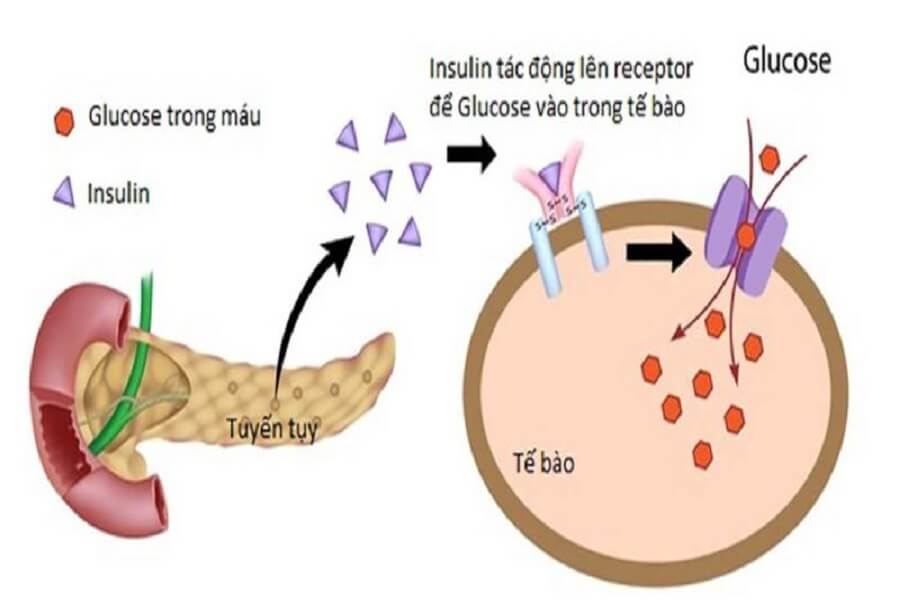 trái cây dành cho người tiểu đường