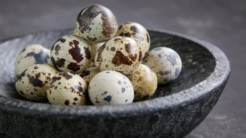 Biết trứng cút bao nhiêu calo có thể giúp bạn đưa ra những lựa chọn ăn uống thông minh hơn.
