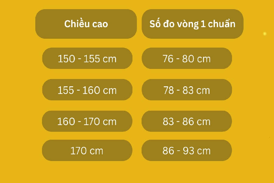 vòng 1 bao nhiêu là chuẩn