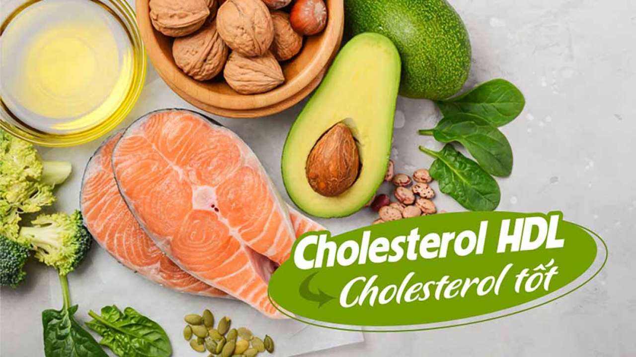 HDL cholesterol là gì