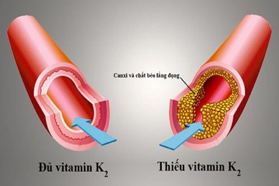 vitamin k là gì