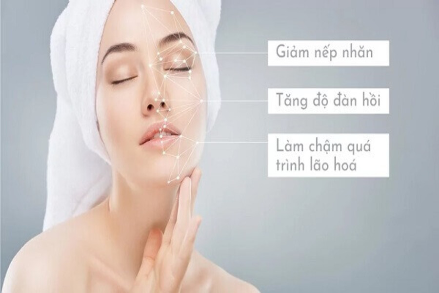 collagen có tác dụng gì