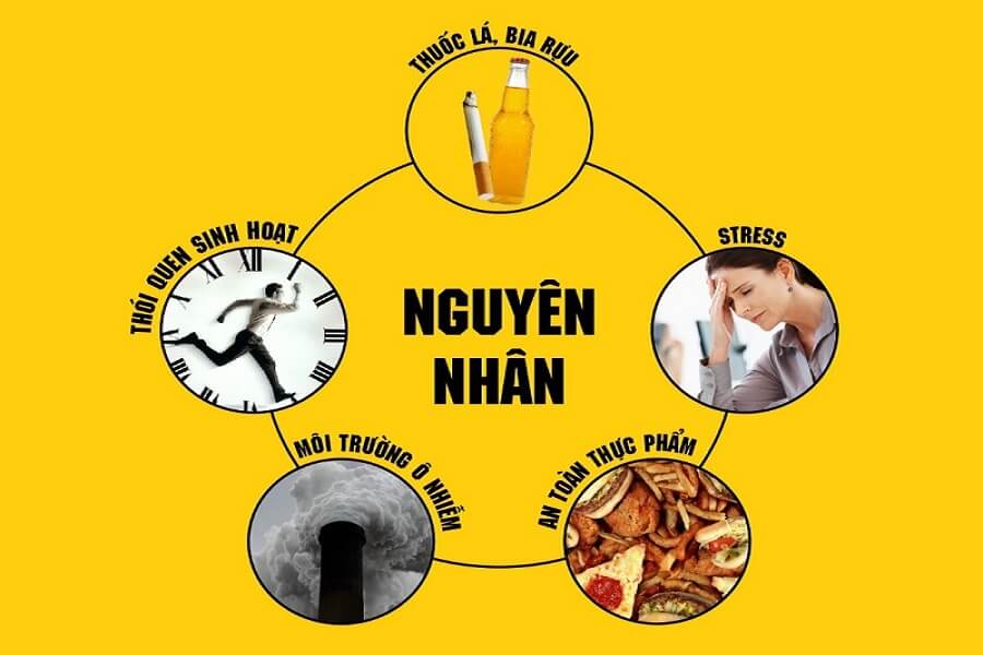 đau dạ dày ở vị trí nào