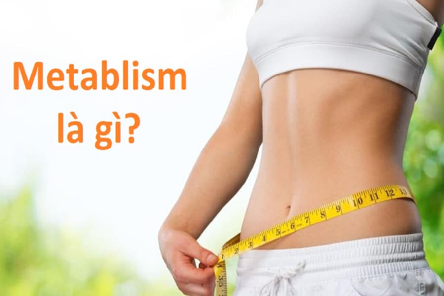 metabolism là gì