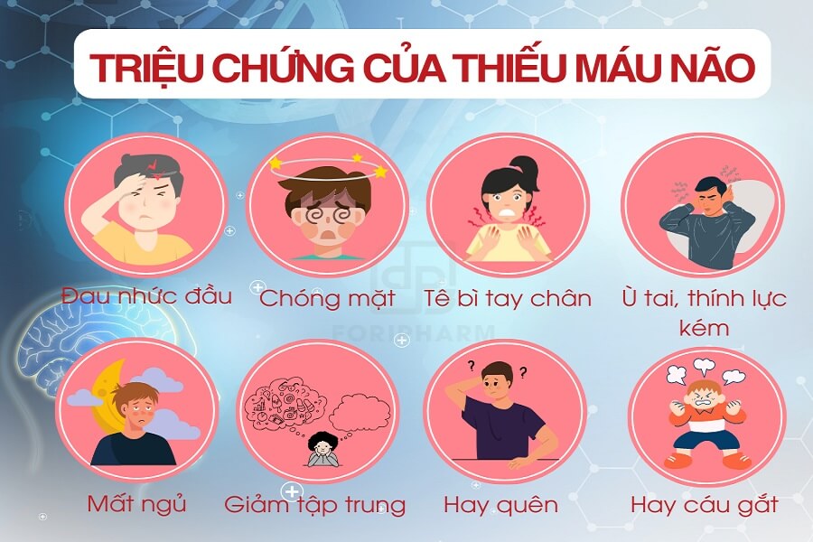 Thiếu máu lên não