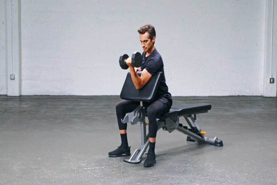 preacher curl