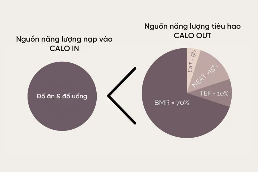 thâm hụt calo là gì