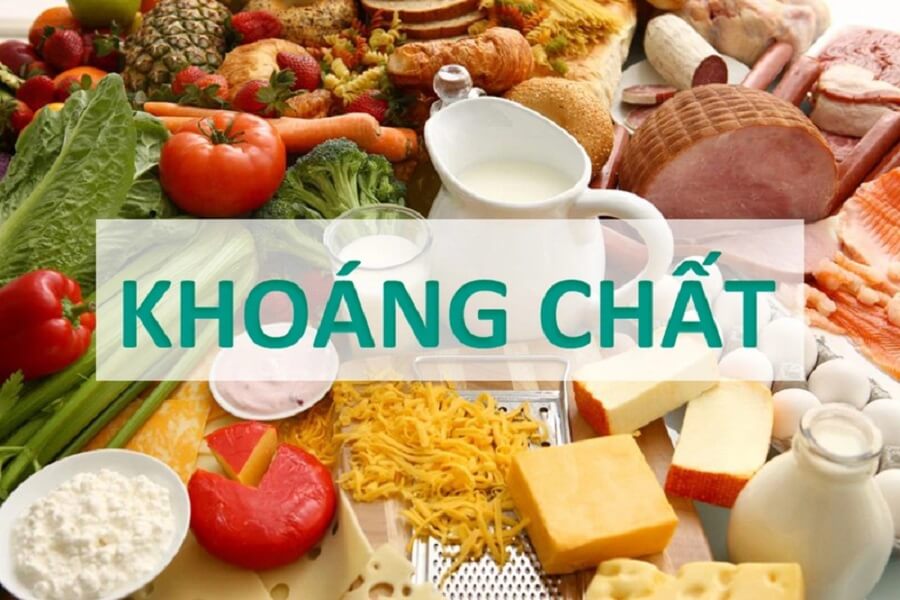 nhu cầu dinh dưỡng phụ thuộc vào yếu tố nào