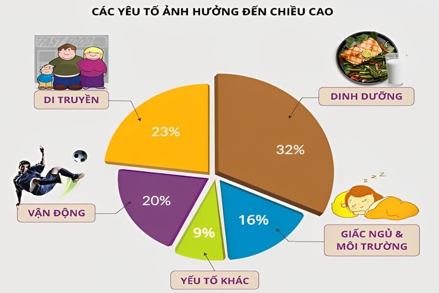 bài tập tăng chiều cao