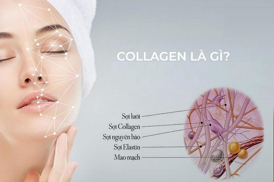 uống collagen có tác dụng gì