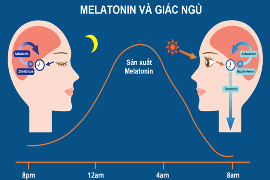 uống melatonin có hại không