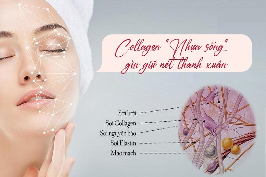 nên uống collagen khi nào