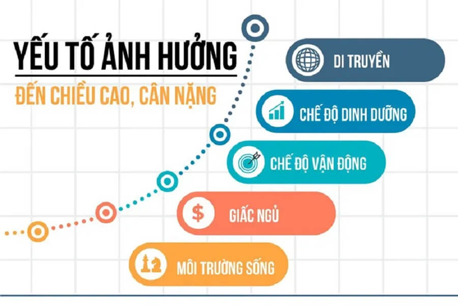 uống gì đã tăng chiều cao