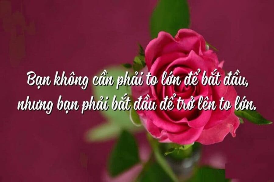 10 câu danh ngôn hay nhất