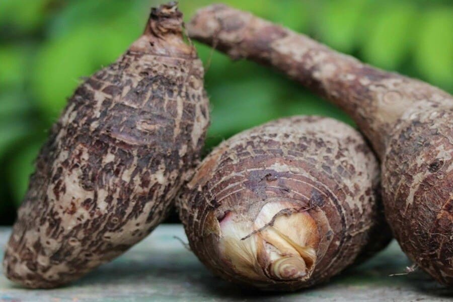 Khoai môn bao nhiêu calo