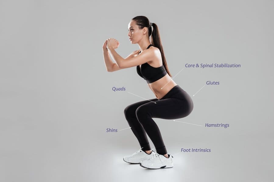 squat đốt bao nhiêu calo