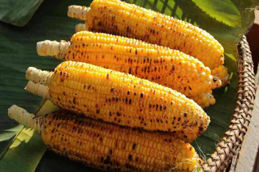 ăn bắp có giảm cân không