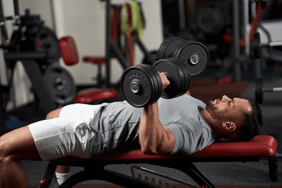 các bài tập gym cho người mới