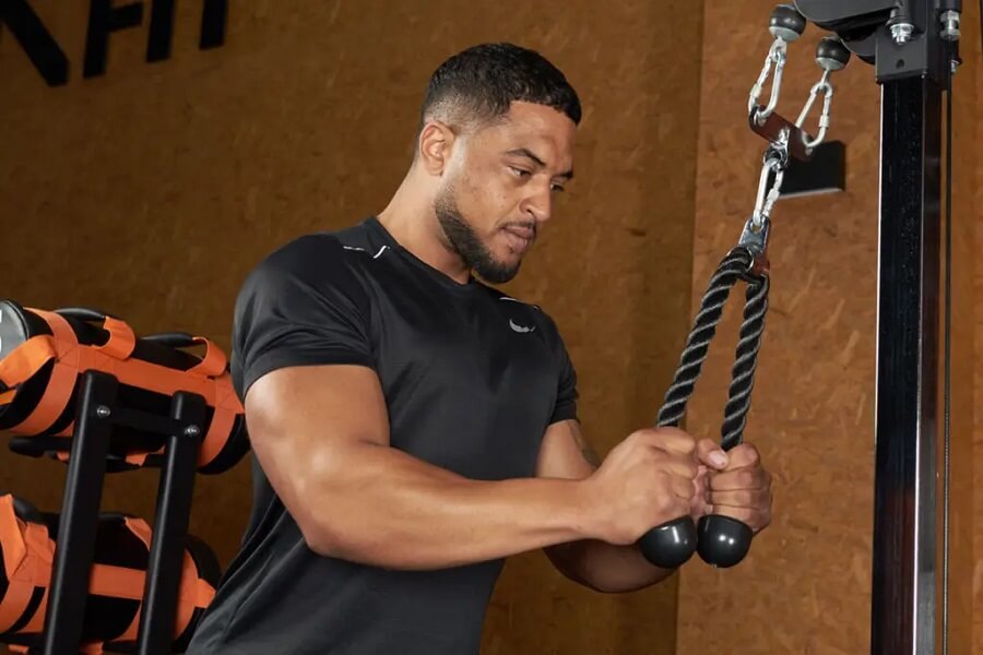 các bài tập gym cho người mới