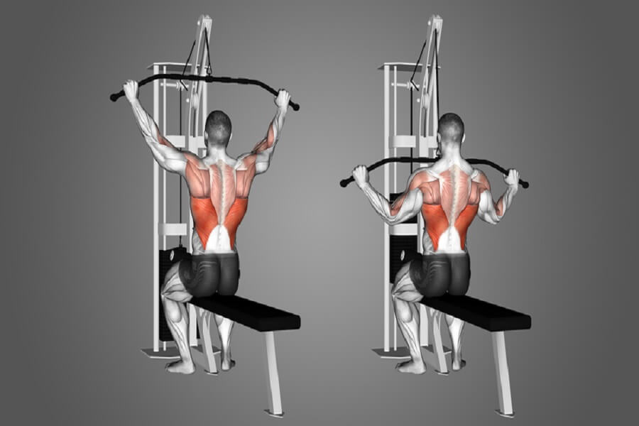 các bài tập gym cho người mới bắt đầu