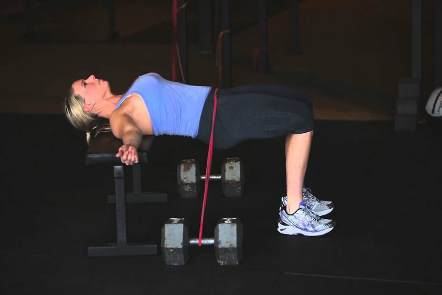 các bài tập gym cho người mới