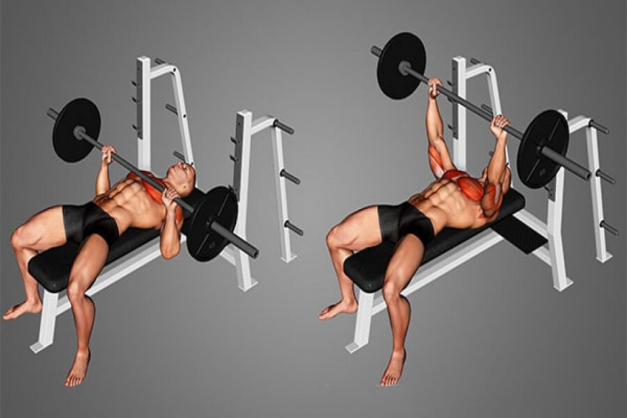 các bài tập gym ngực