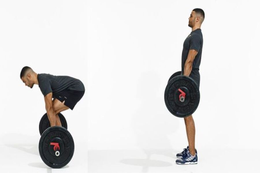các bài tập gym tăng cân