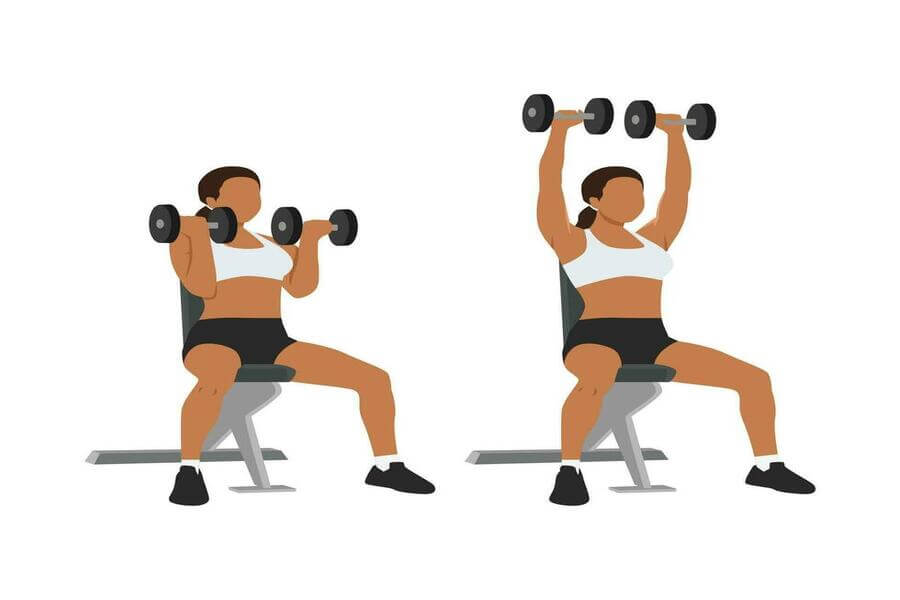 các bài tập vai cho nữ tại phòng Gym